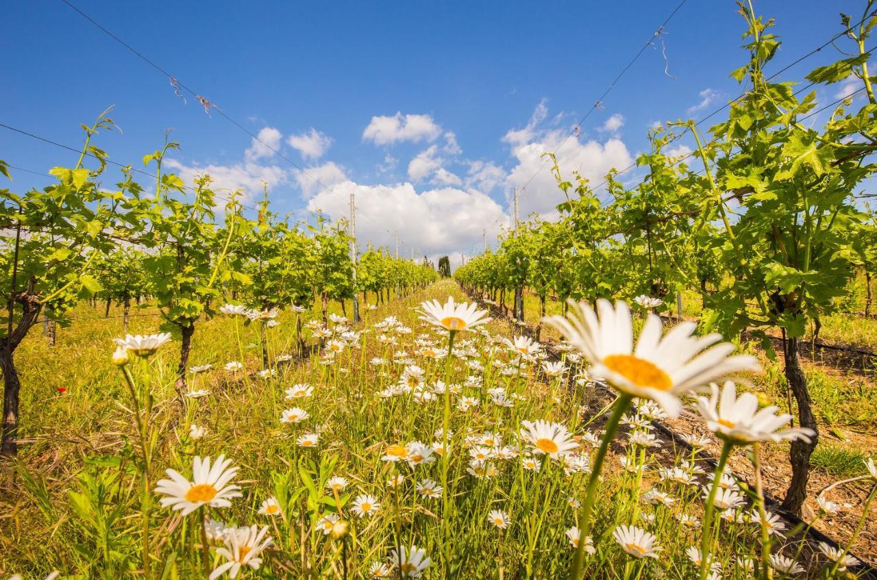 Valpolicella Homes Recioto Apartment SantʼAmbrogio di Valpolicella المظهر الخارجي الصورة