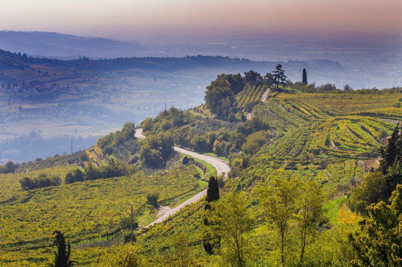 Valpolicella Homes Recioto Apartment SantʼAmbrogio di Valpolicella المظهر الخارجي الصورة