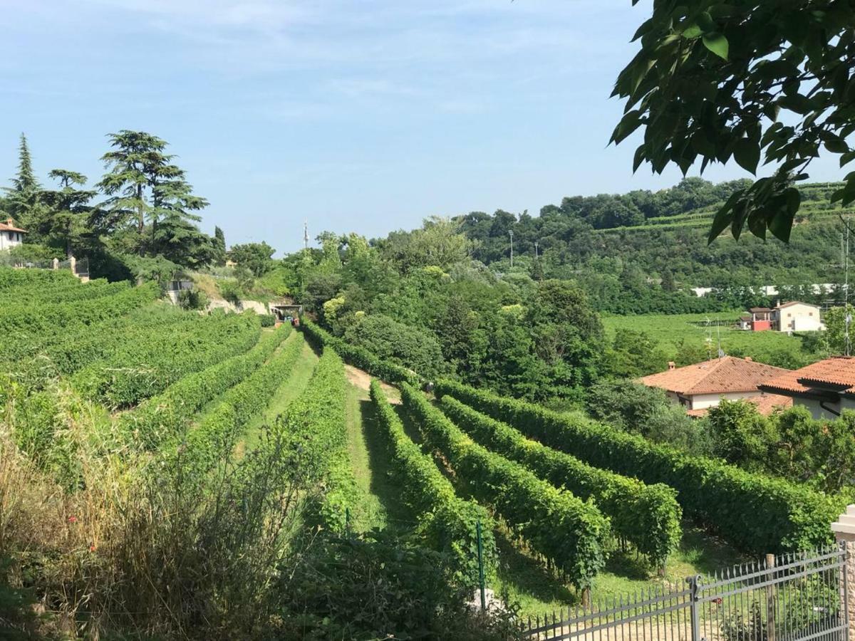 Valpolicella Homes Recioto Apartment SantʼAmbrogio di Valpolicella المظهر الخارجي الصورة