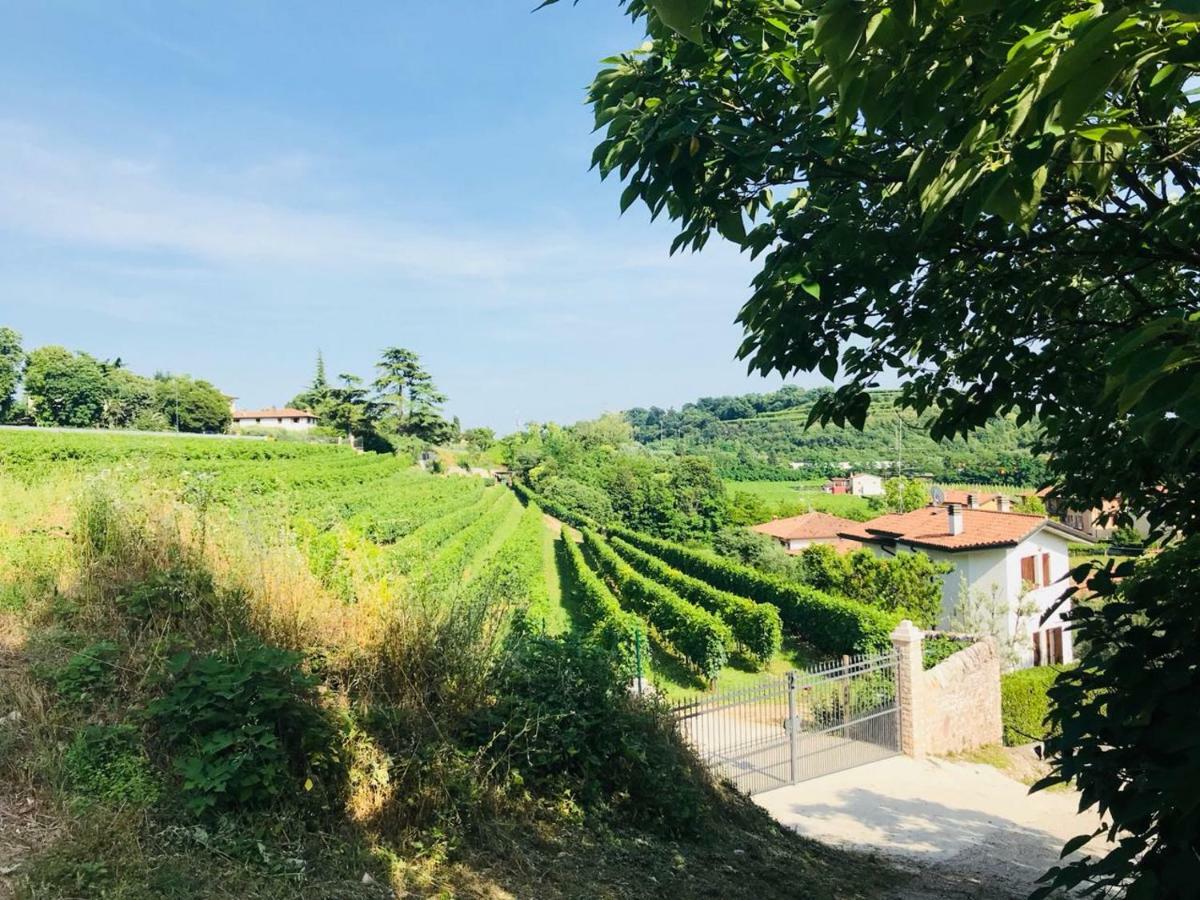 Valpolicella Homes Recioto Apartment SantʼAmbrogio di Valpolicella المظهر الخارجي الصورة