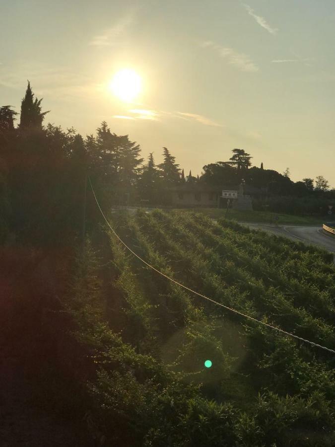 Valpolicella Homes Recioto Apartment SantʼAmbrogio di Valpolicella المظهر الخارجي الصورة